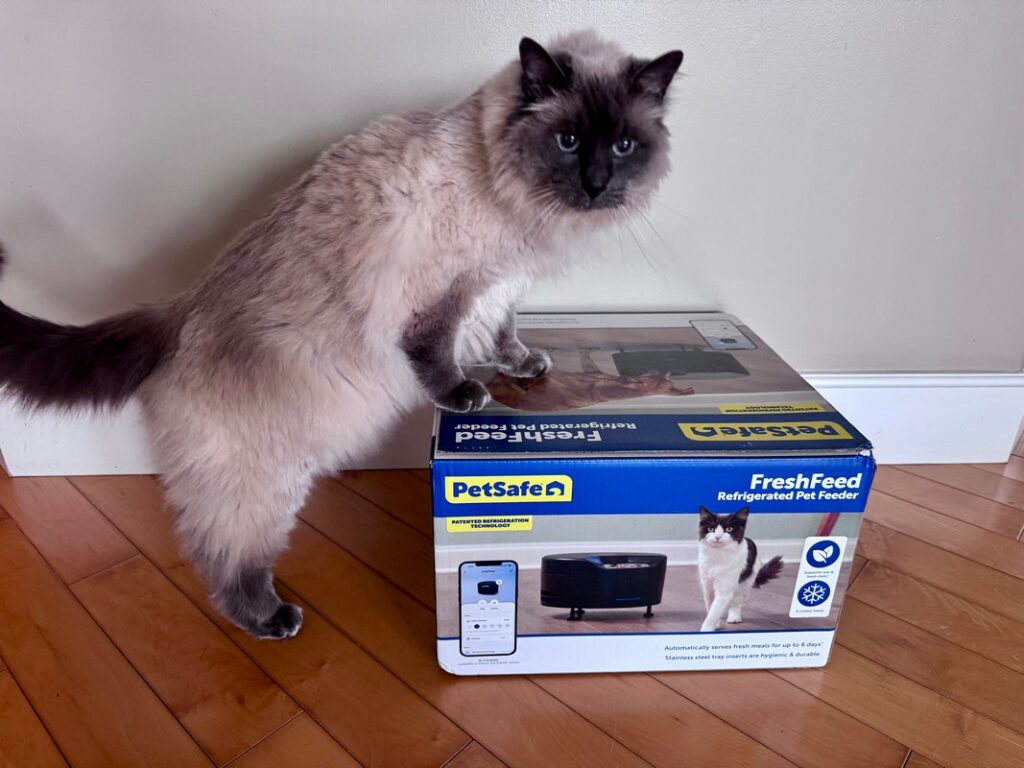 Best Refrigerated Cat Feeders to Keep Wet Food Fresh