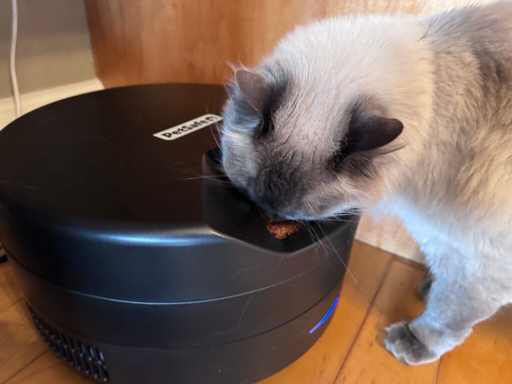 PetSafe FreshFeed Refrigerated Pet Feeder Review