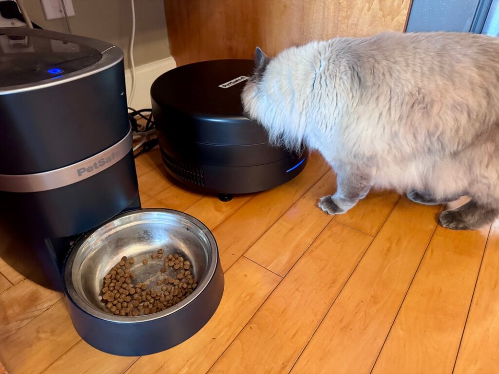 PetSafe FreshFeed Refrigerated Pet Feeder Review