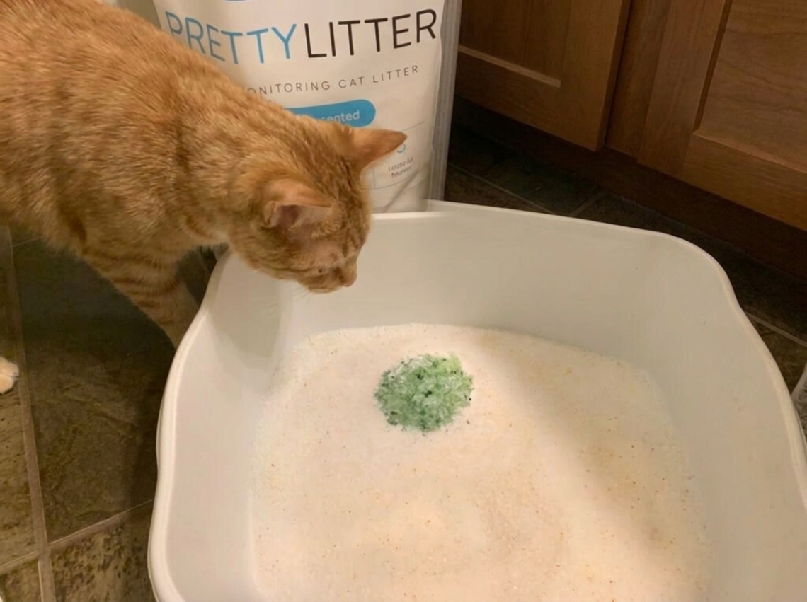 PrettyLitter Color Guide Green