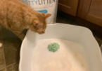 PrettyLitter Color Guide Green
