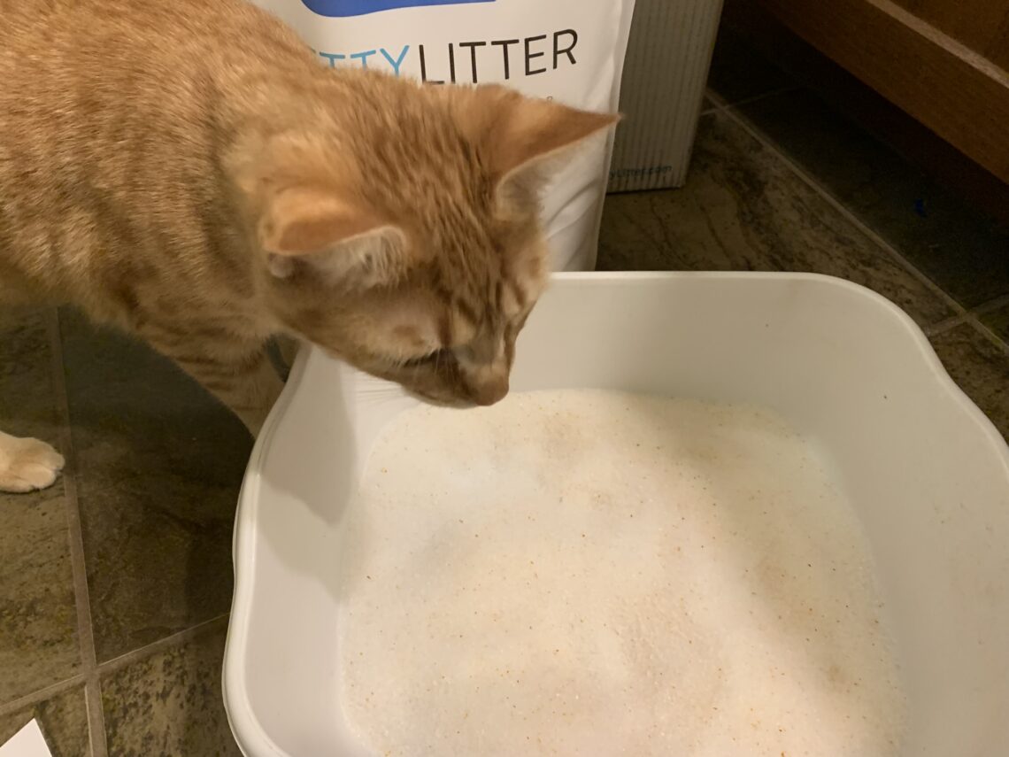 What PrettyLitter Colors Mean