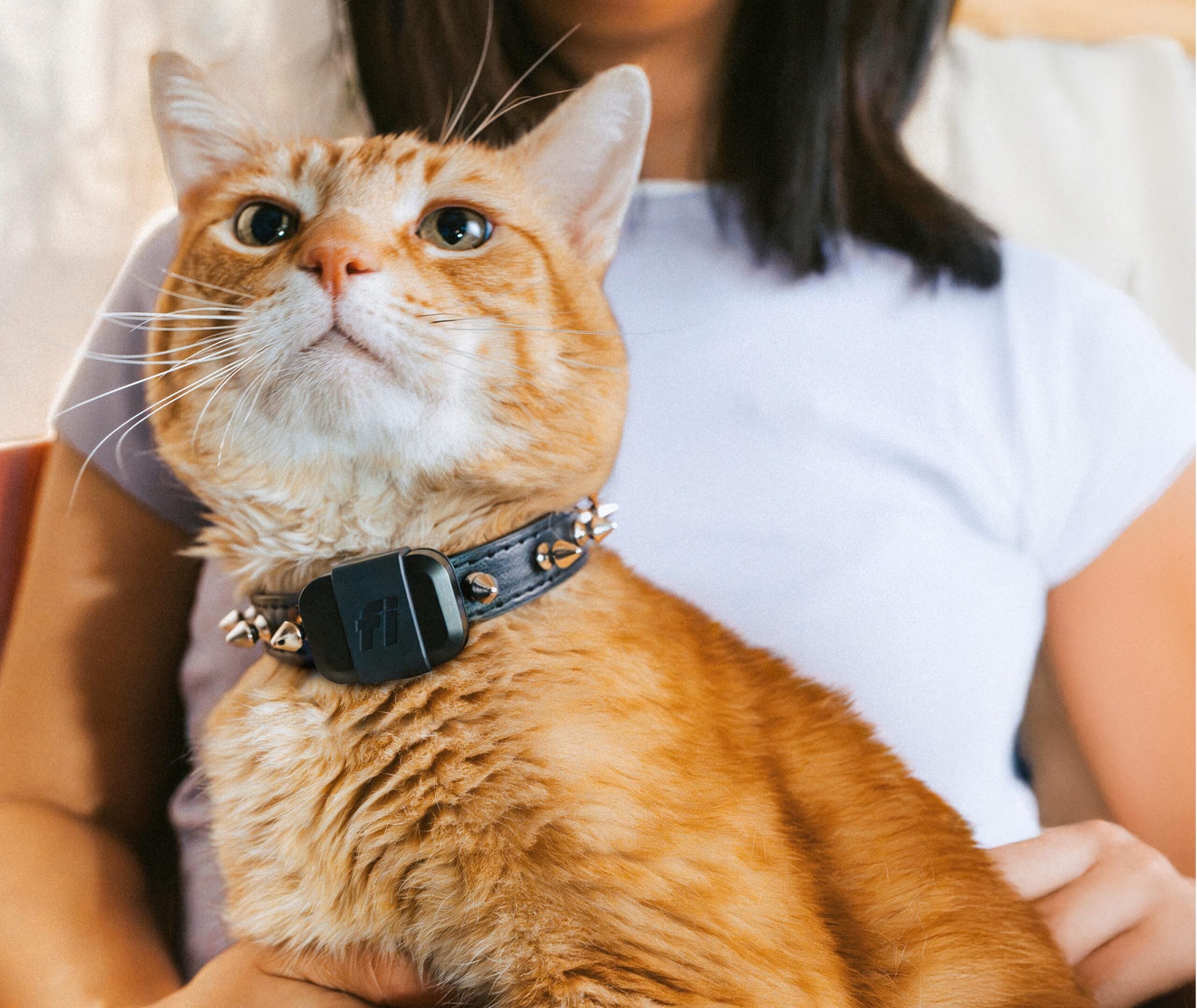 Fi Mini FOR CATS