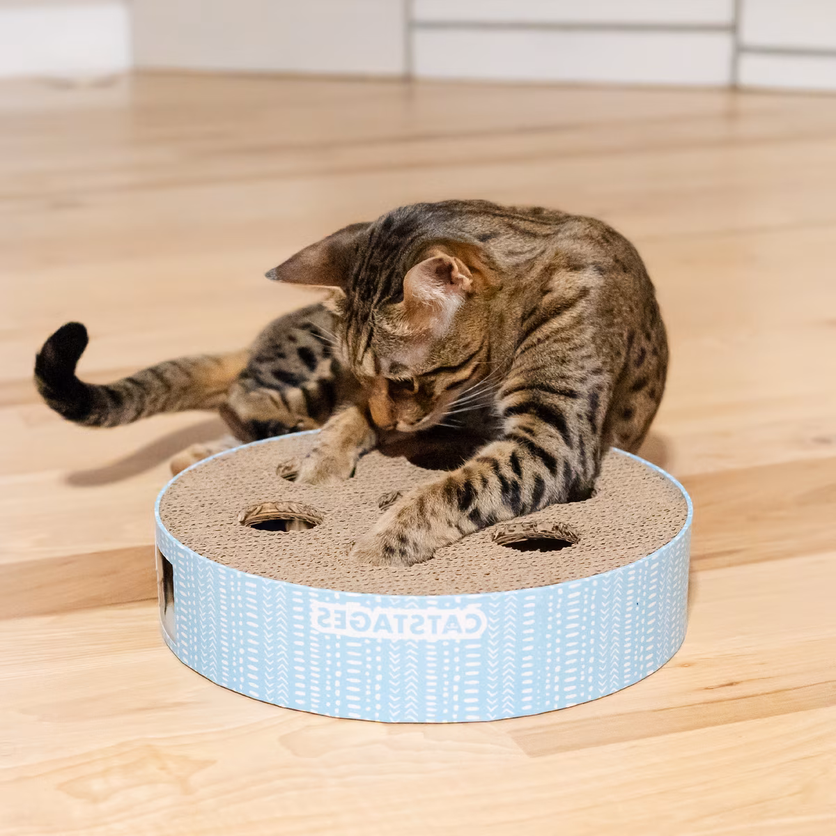 Catstages Scratch N' Hunt Cat Games & Puzzles Cat Toy