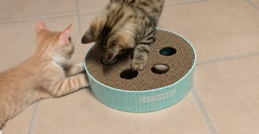 best interactive cat toys