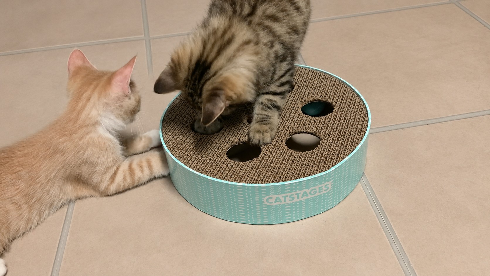 best interactive cat toys