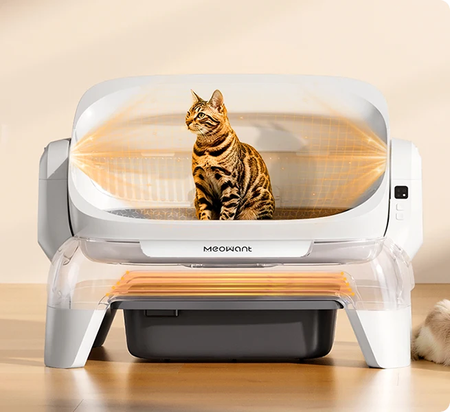 Open-Top Self-Cleaning Cat Litter Box for Large Cats | MW-SC10 Meowant