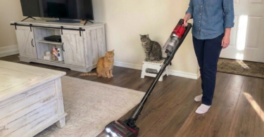BISSELL PowerClean DualBrush Cordless Stick Vacuum