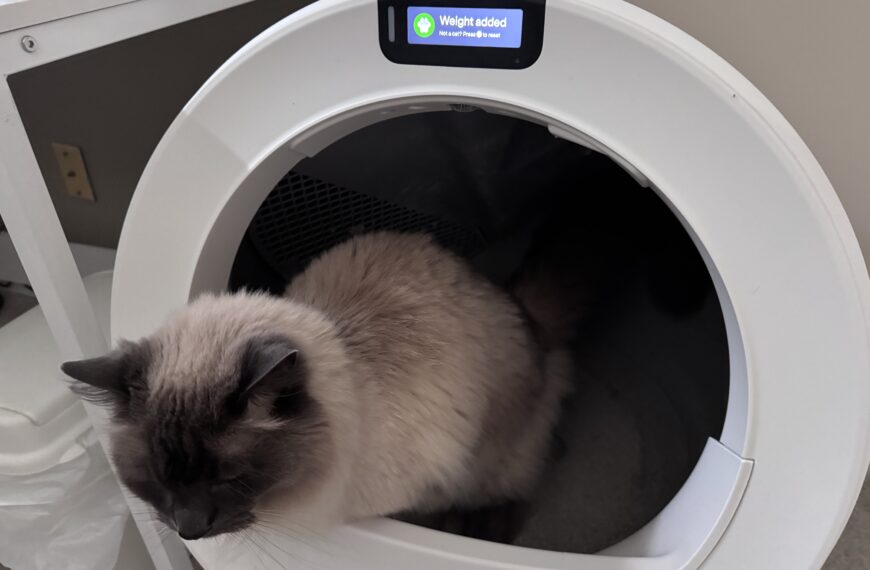 Cat using the Litter Robot 5 Pro