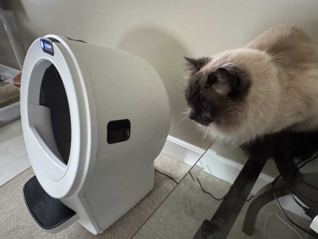 Litter Robot 5 Pro with Milo looking on