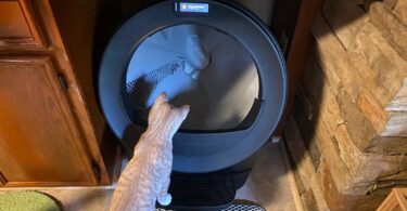 Litter-Robot 5 Review