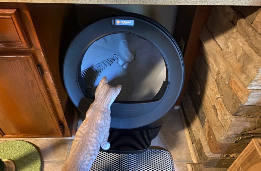 Litter-Robot 5 Review