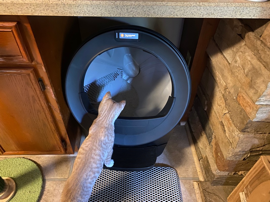 Litter-Robot 5 Review