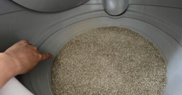Litter Robot Litter Depth
