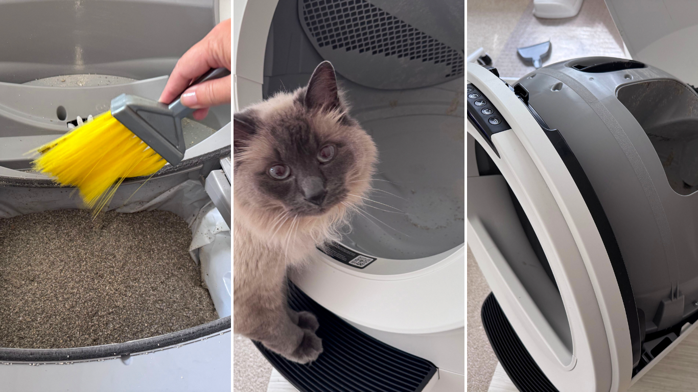 Litter Robot Deep Clean featuring Milo