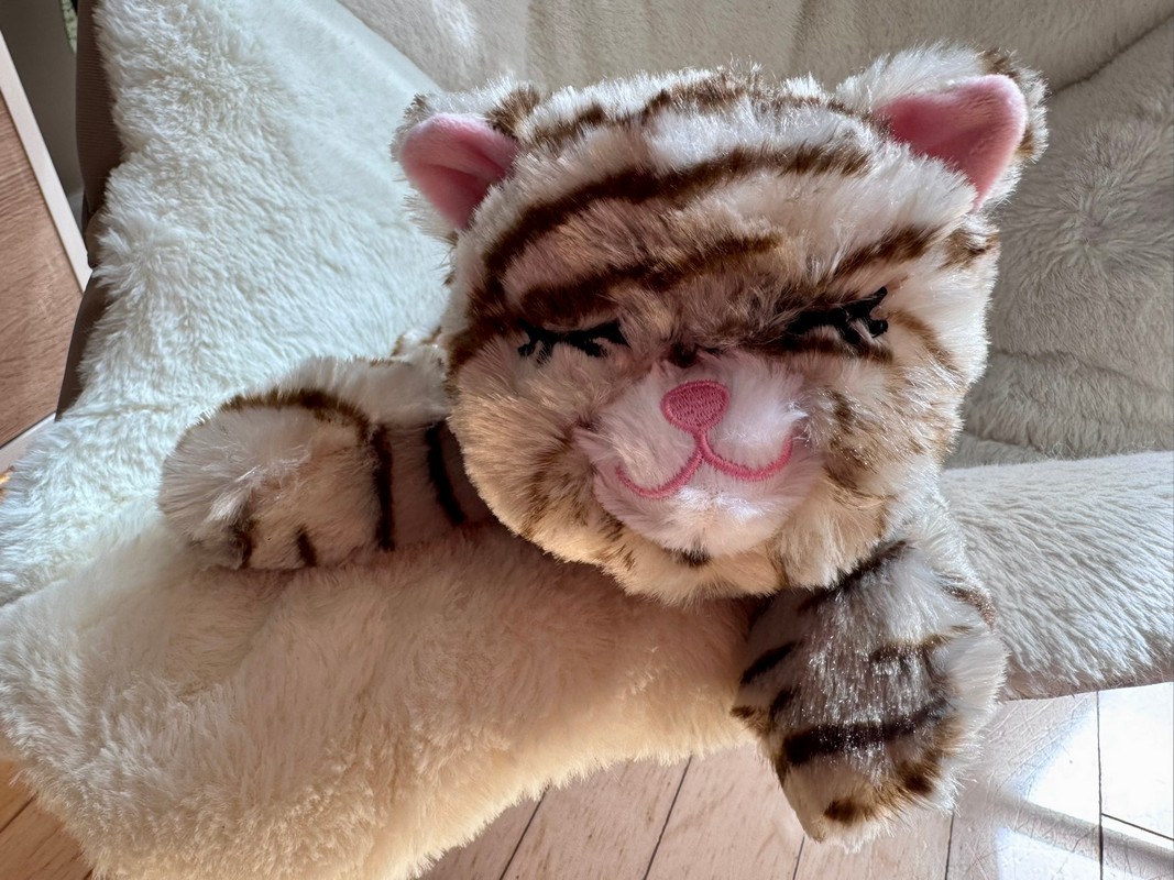 Snuggle Kitty Heartbeat Behavioral Aid Anxiety Solution for Pets Snuggle Puppy