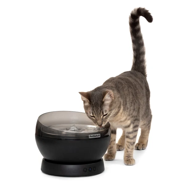 PetSafe HydroSphere 60 oz Cordless Fountain