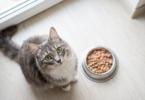 Heavy Metal in Cat Food