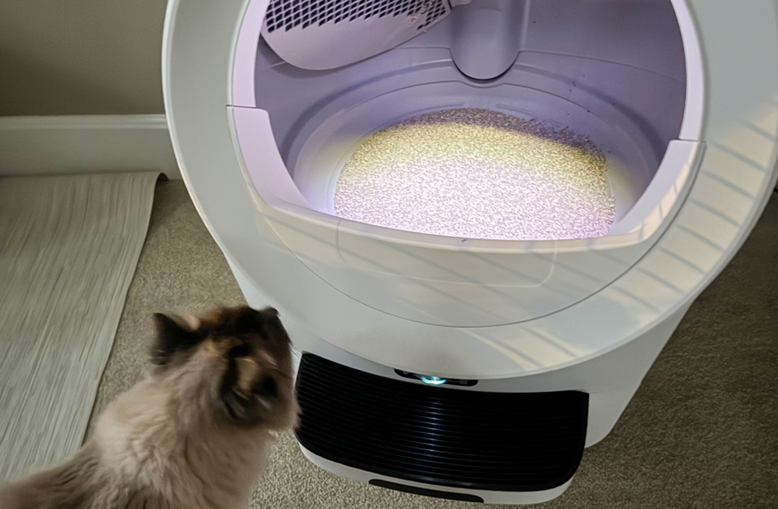 Will My Cat Actually Use the Litter-Robot? What the First Two Weeks Look Like (And What to Do If Your Cat Refuses)