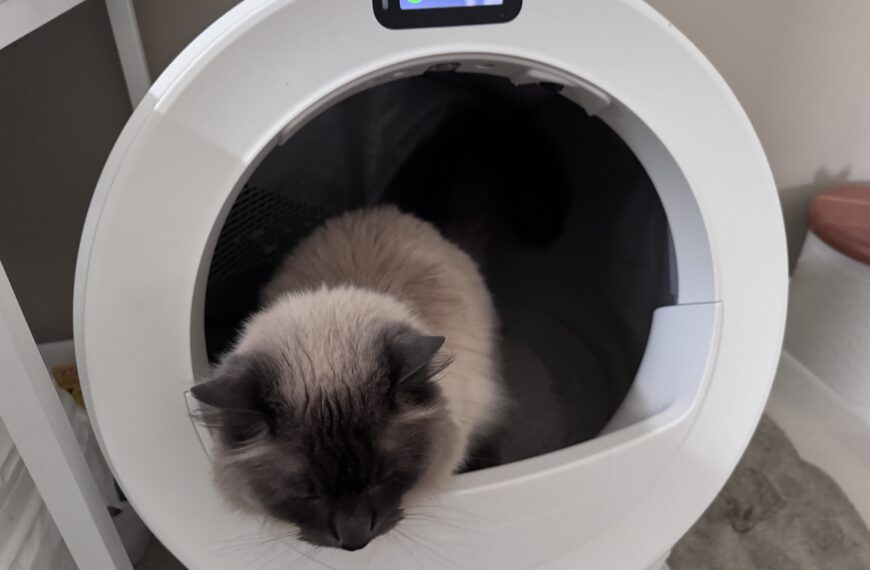 What a Litter-Robot Really Costs Over 3 Years (and How Long It Lasts)
