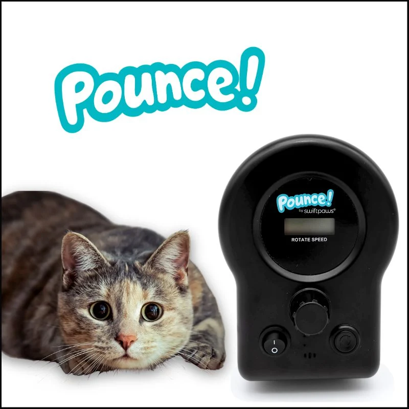 Pounce! Kit SwiftPaws