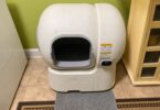 How Durable Are Automatic Litter Boxes? 8 Things to Look For