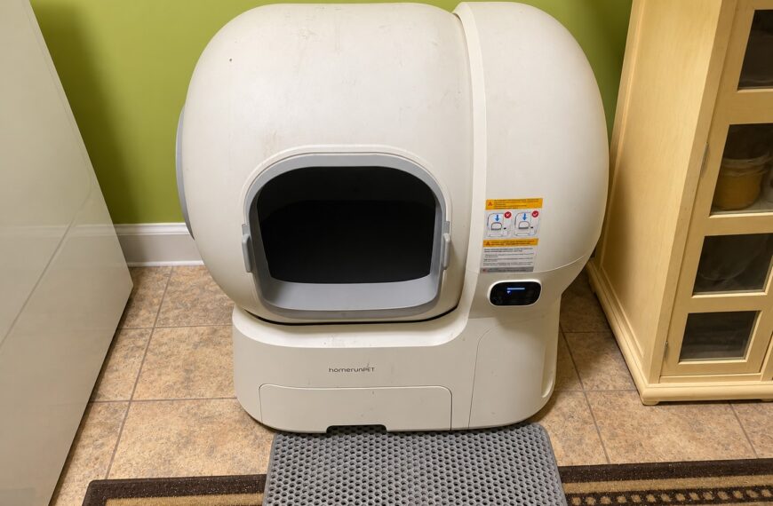 How Durable Are Automatic Litter Boxes? 8 Things to Look For